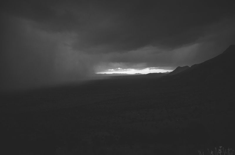 51149552971_dfd6bfffe6_o