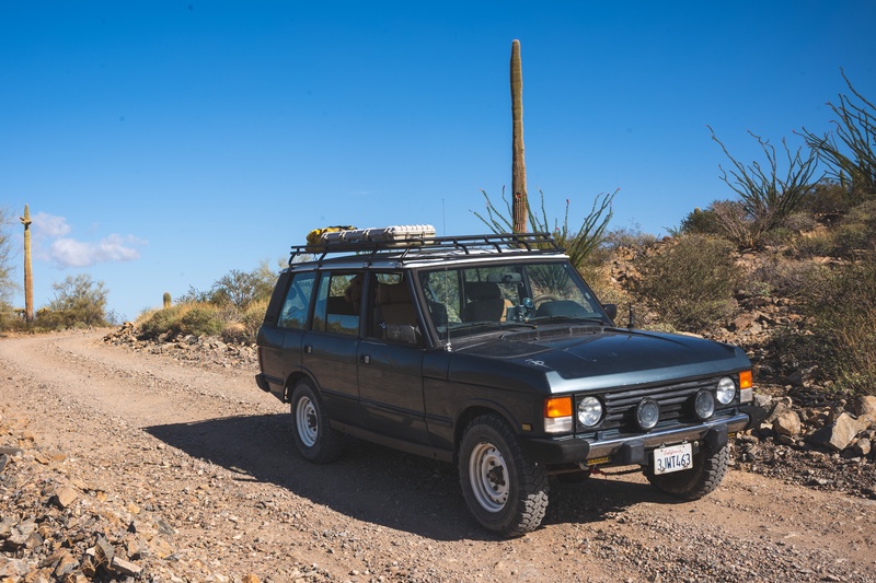 51150335919_a9f838d83e_o