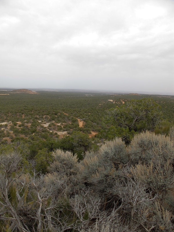 long-walk-for-cell-service_5551843804_o