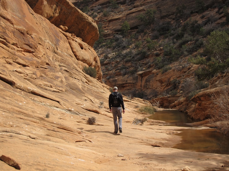 road-canyon_5551829254_o