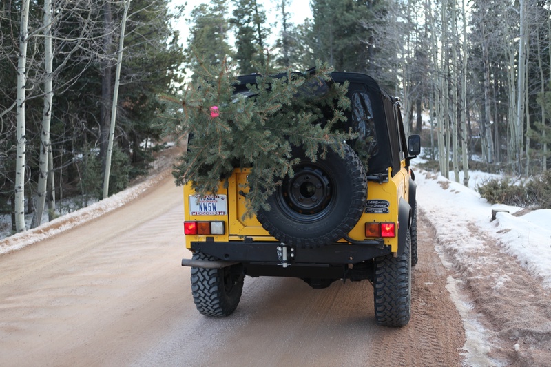 not-the-ideal-tree-hauler_5284288828_o