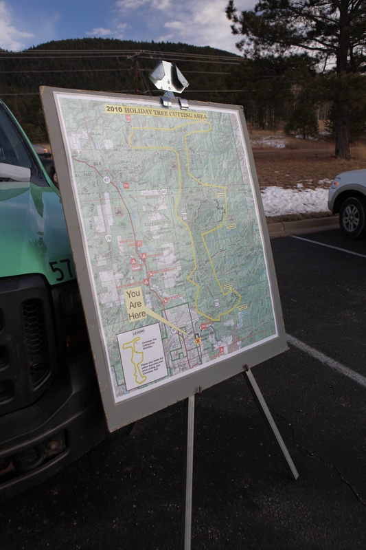 tree-cutting-area_5284283682_o