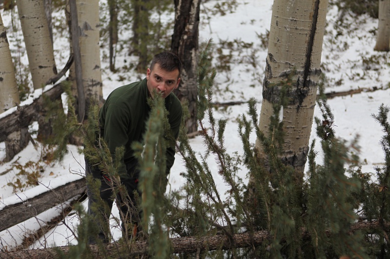 tree-cutting-serious-business_5283688573_o