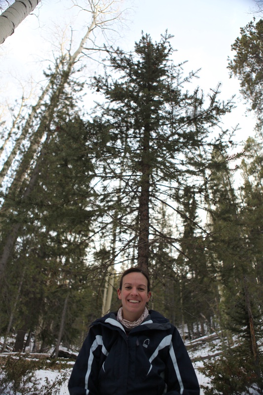 we-find-our-tree_5283686697_o