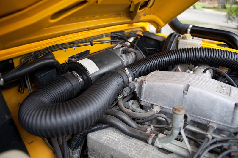 boa-constrictor_4411715185_o