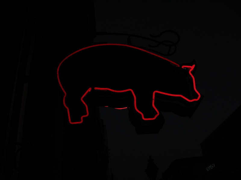 img_0172jpg_2533200910_o