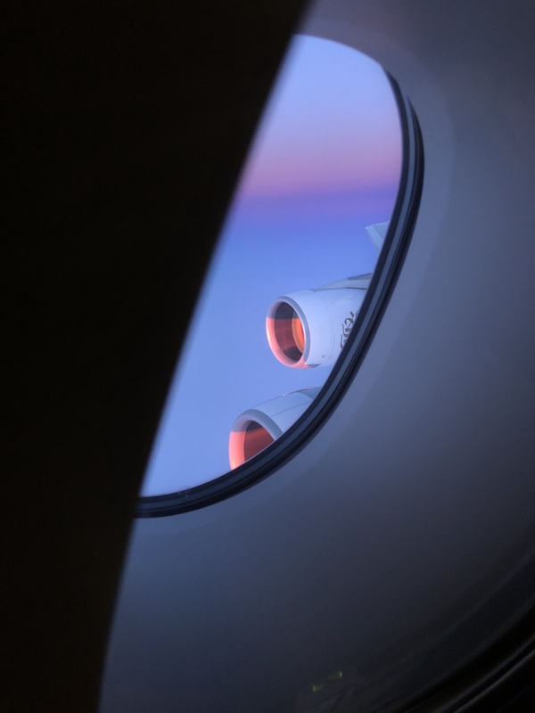 46180484765_8768f0aaa7_o