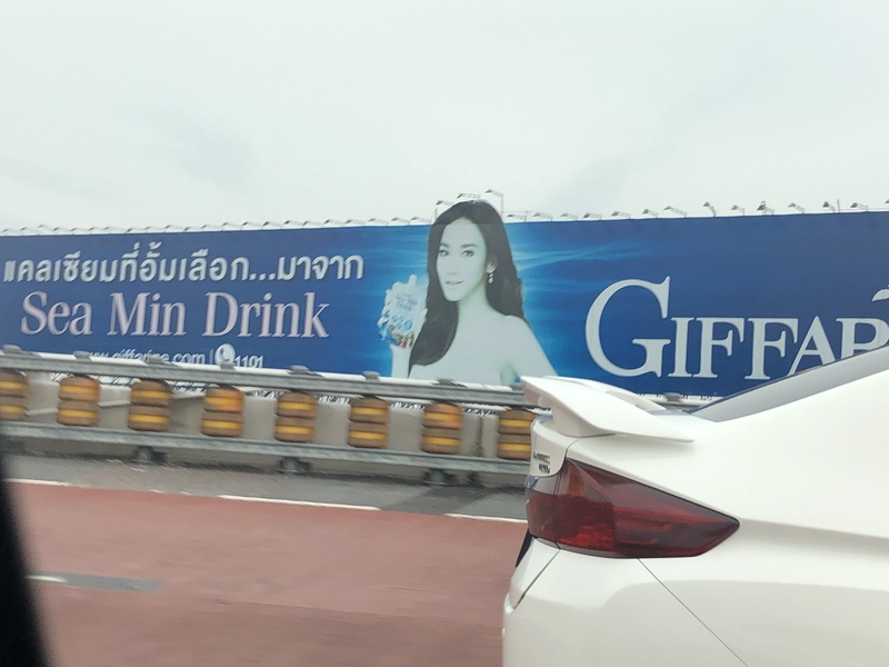 46180486565_000d663291_o