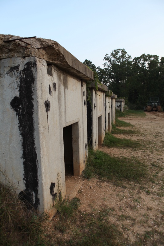 img_0963_3886026478_o