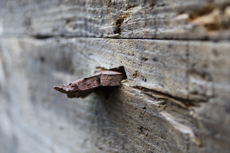 img_1279_3888523058_o