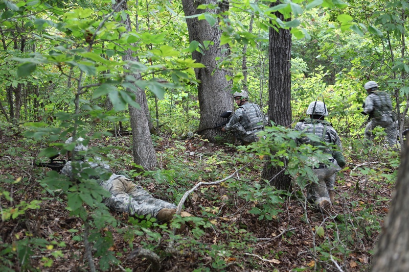 img_2010_3938800208_o