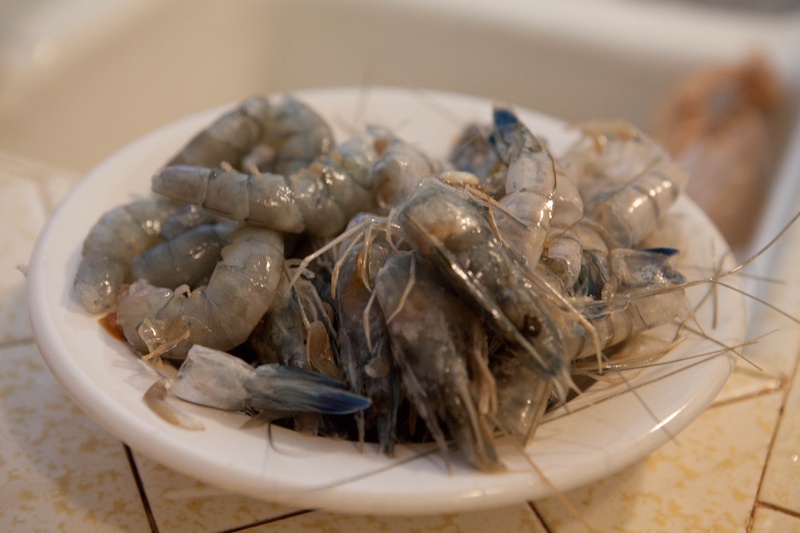 img_5566jpg_4491346214_o