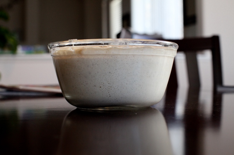 sourdough-starter_6312158433_o