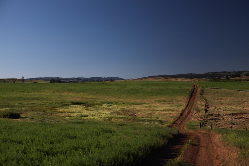 road-to-oregon_9045525625_o