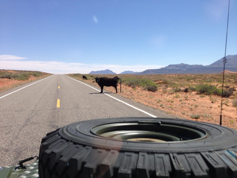 roadblock_8761484763_o