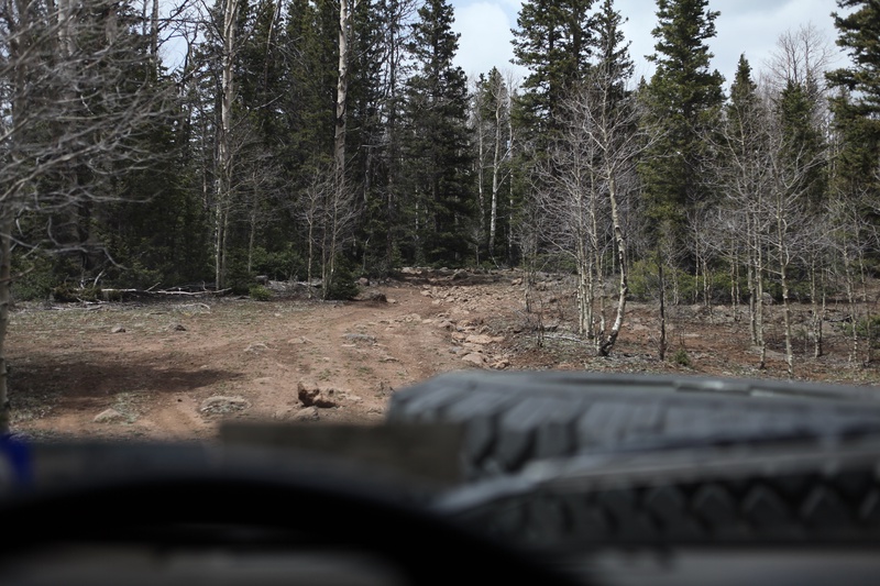 rough-road_8761637543_o