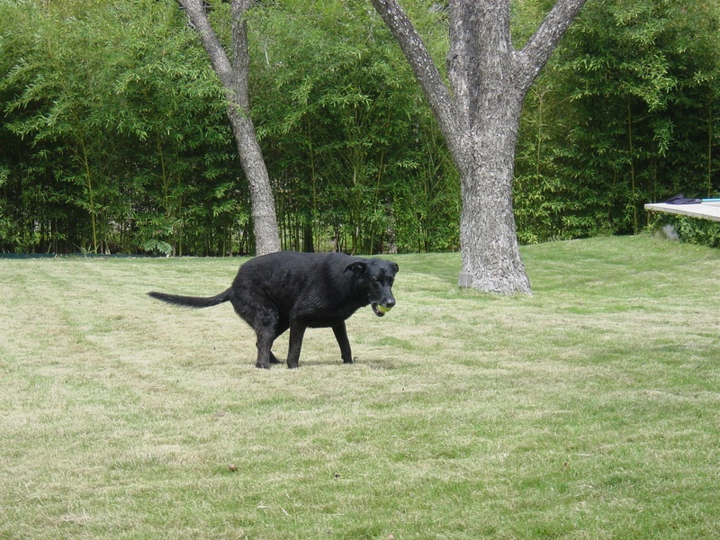 dsc01225jpg_121752608_o