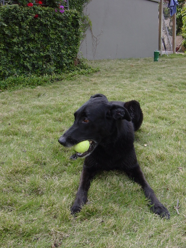 dsc01230jpg_121752807_o