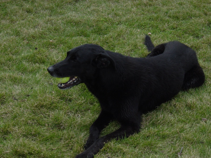 dsc01231jpg_121752840_o