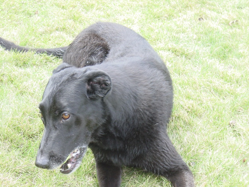 dsc01232jpg_121752871_o