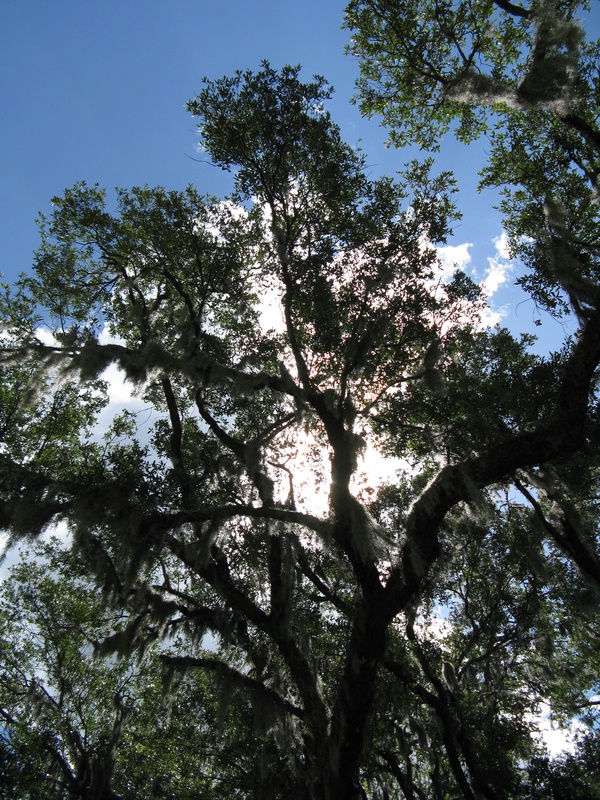 img_0190jpg_2532401803_o