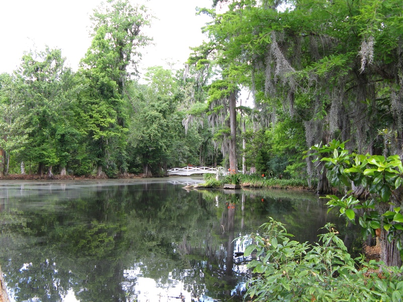 img_0194jpg_2533219862_o