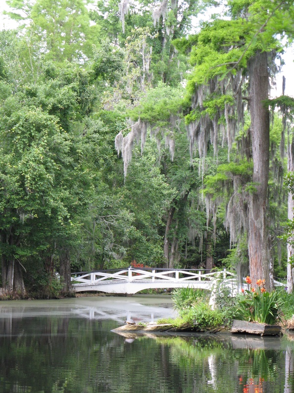 img_0195jpg_2532405321_o