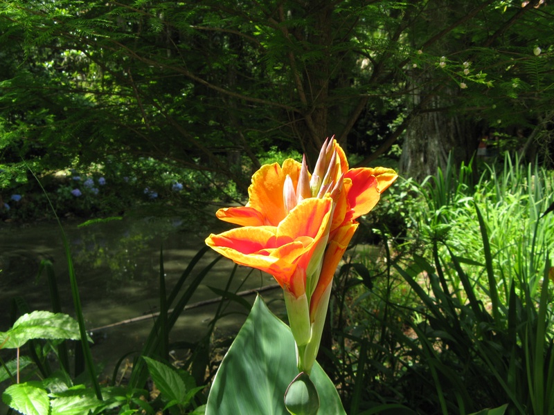 img_0199jpg_2533224028_o