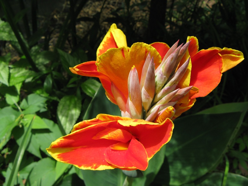 img_0201jpg_2533224590_o