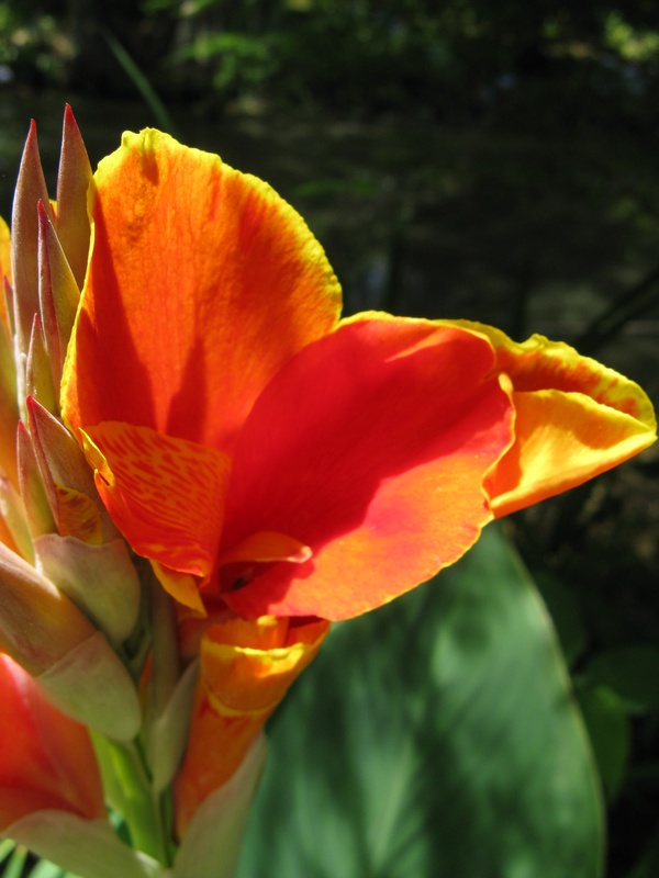 img_0203jpg_2532409573_o