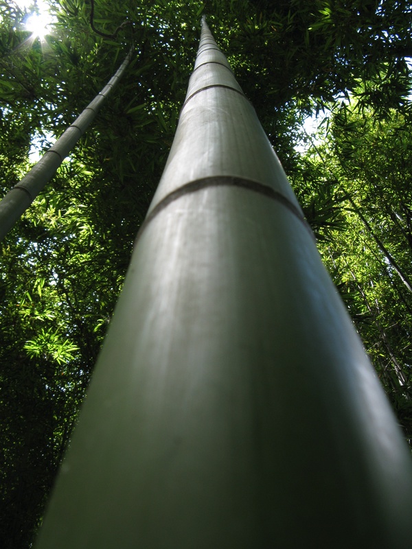 img_0207jpg_2533227100_o