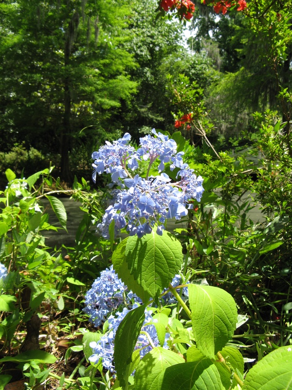 img_0211jpg_2533229330_o