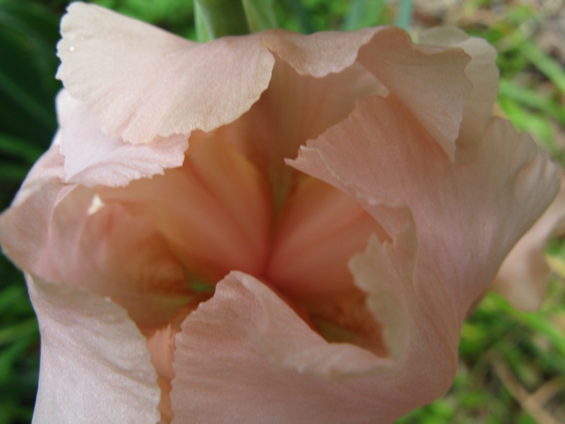 img_0213jpg_2533230508_o