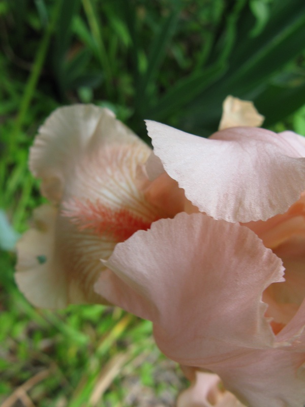 img_0214jpg_2533231120_o