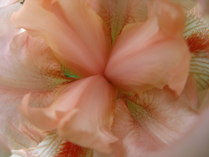 img_0215jpg_2533231590_o