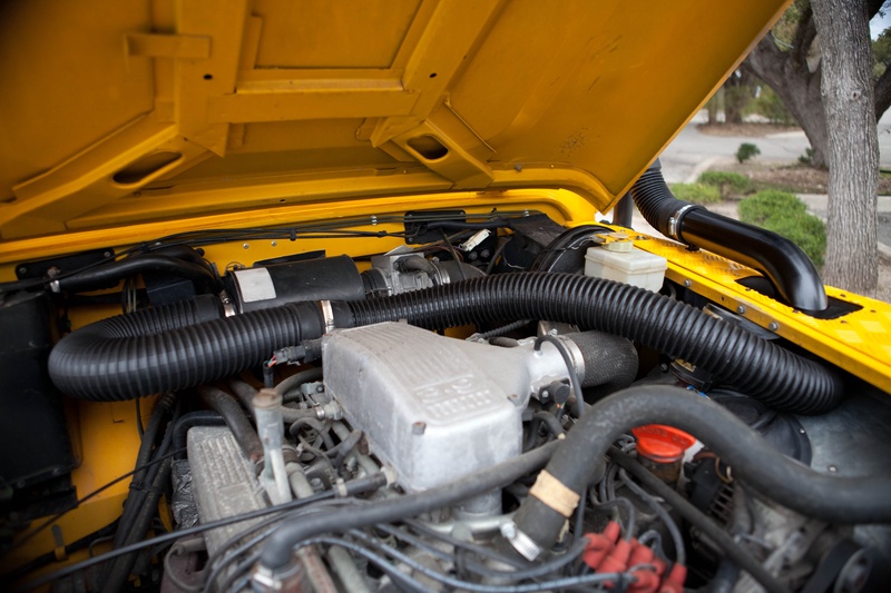 here-snakey-snakey_4412482094_o