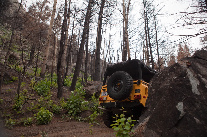 climb-to-the-summit_4947600668_o