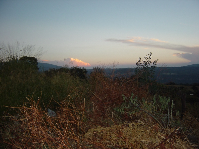 dsc00734_5261259171_o