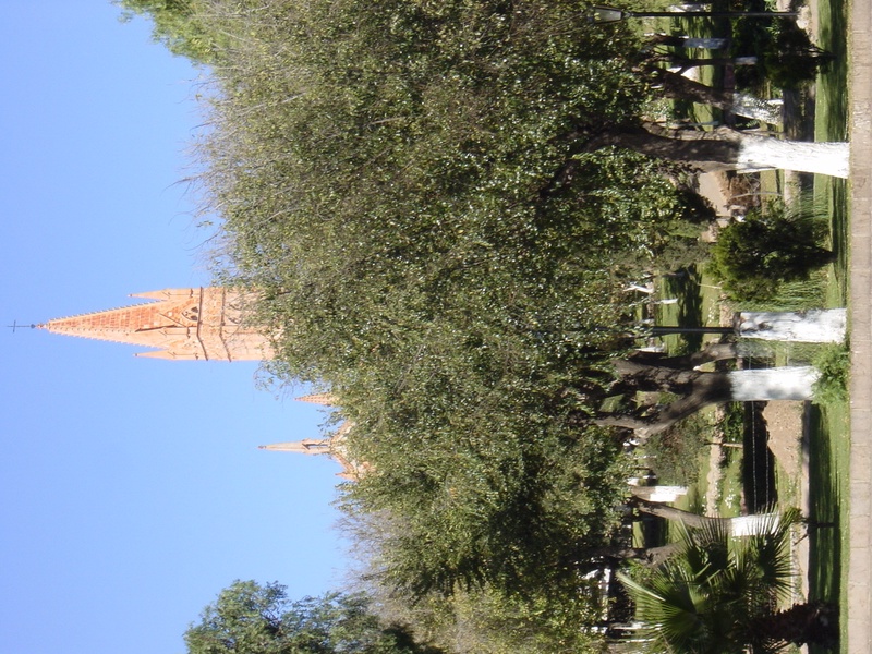 dsc00761_5261870448_o