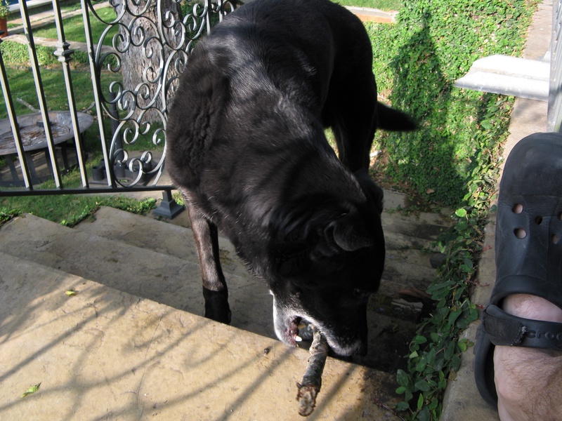 img_0063jpg_2532317737_o