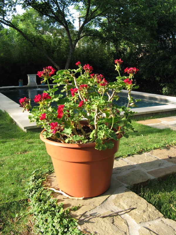 img_0065jpg_2532319303_o