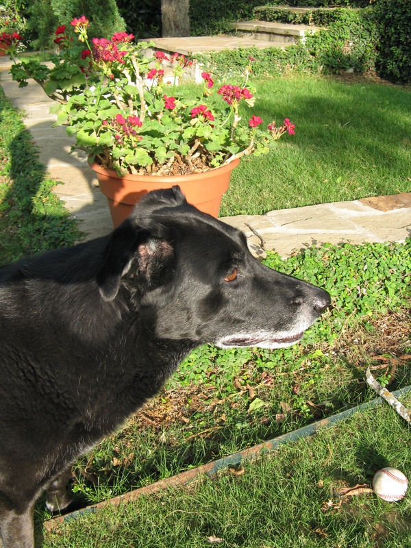 img_0075jpg_2533142172_o