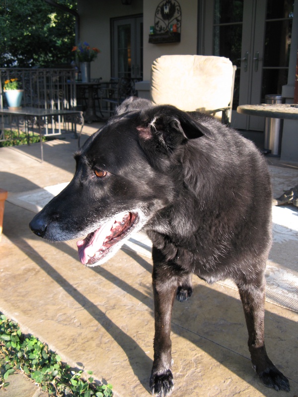 img_0086jpg_2532335147_o