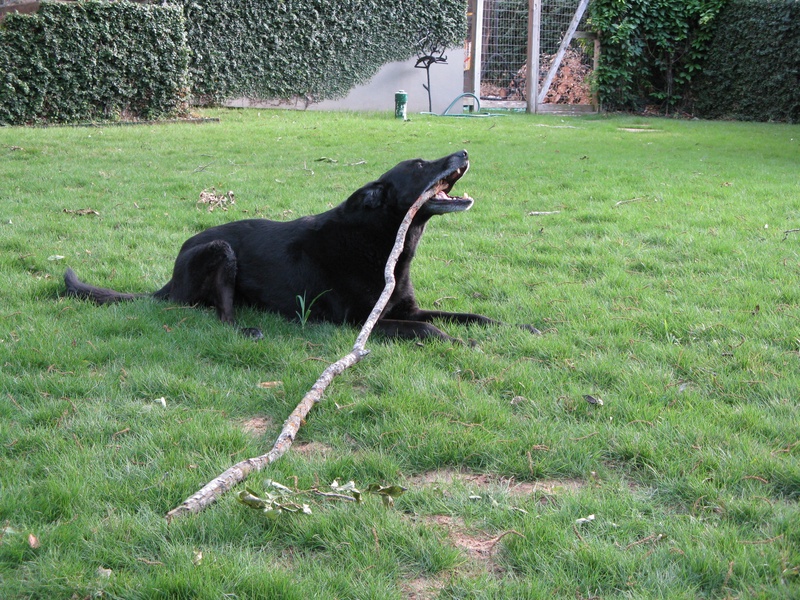 img_0094jpg_2533154716_o