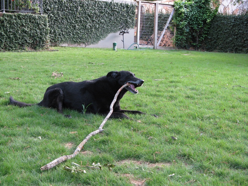 img_0095jpg_2533156194_o