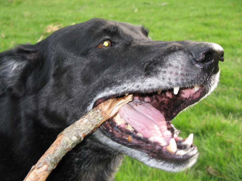 img_0096jpg_2533157012_o