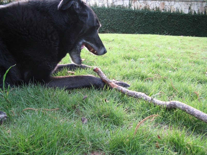 img_0100jpg_2532342125_o