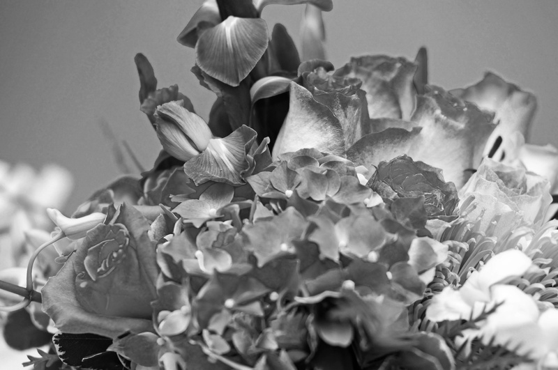 chris-and-rachel-022bw_3764813196_o