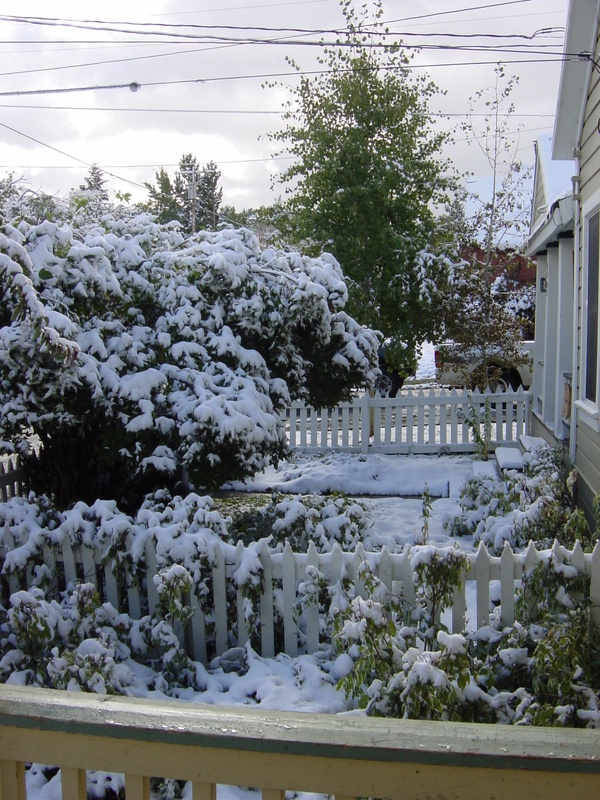 dsc01353_244667110_o