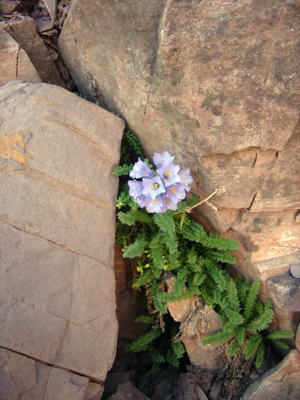 dsc01540jpg_758350793_o